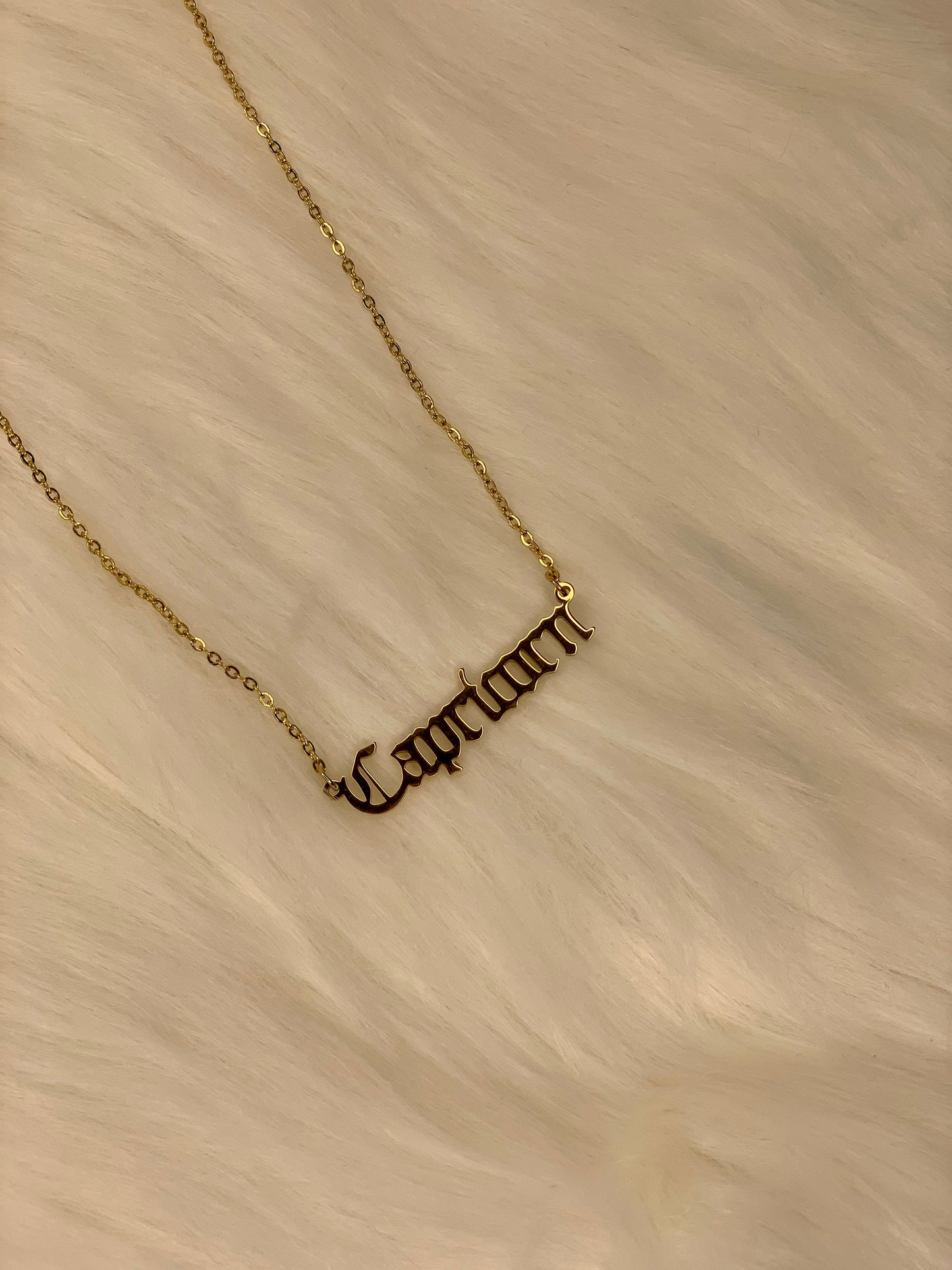 Capricorn Zodiac Necklace